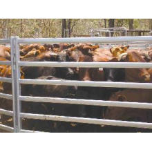 Galvanzied Livestock Panels / Horse Fence Gate